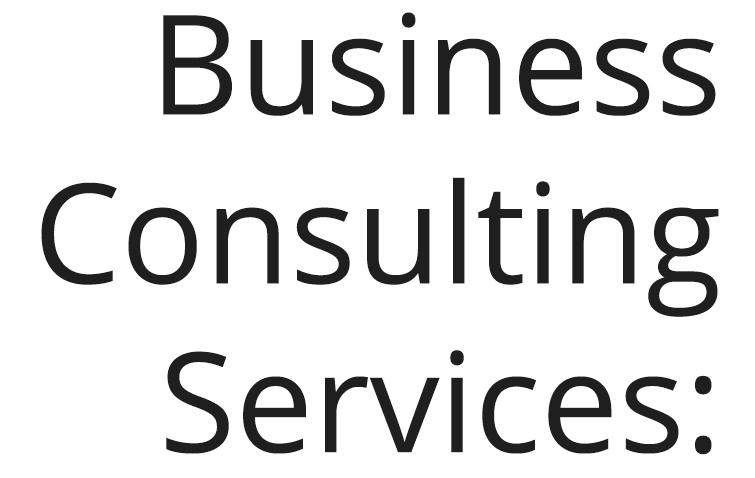 Business Consulting Services: